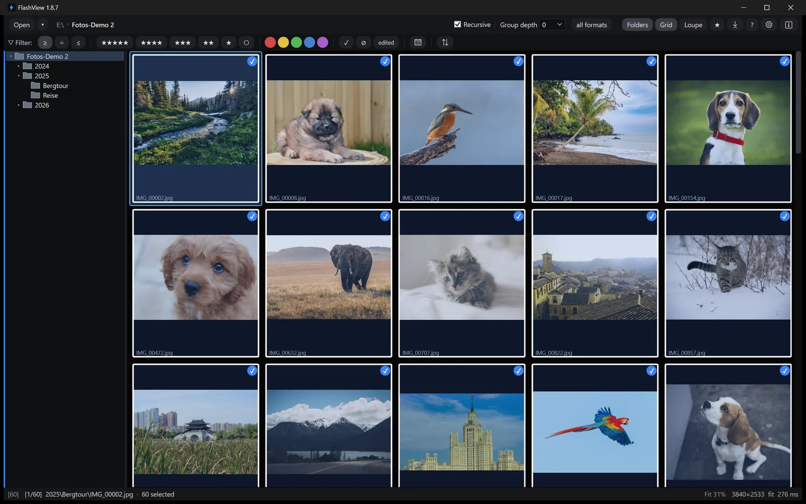 Several selected photos in the grid being rated with stars together.