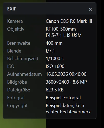 Das EXIF-Panel zeigt Kamera und Objektiv, die Belichtungsdaten, Aufnahmedatum, Bildgröße und die Angaben zum Urheber.