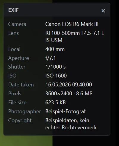 The EXIF panel shows camera and lens, the exposure settings, capture date, image size and the credit fields.