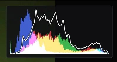 Der farbige Körper zeigt die Kanäle, die weiße Linie die Helligkeitsverteilung. Im Programm liegt das Histogramm oben rechts über dem Bild.